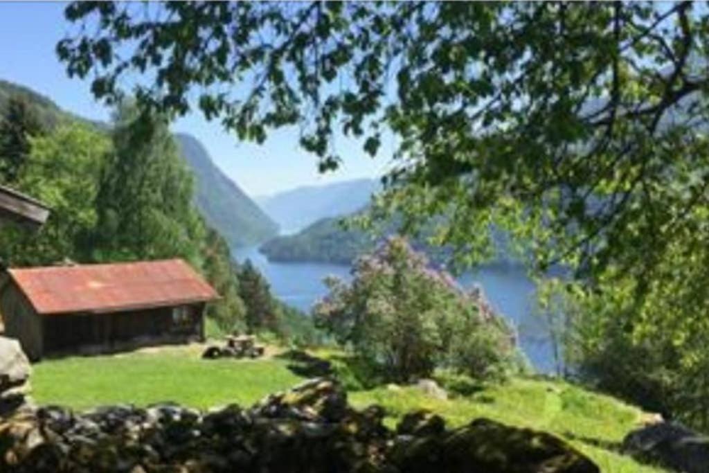 Dalen Studio 1 Exterior foto
